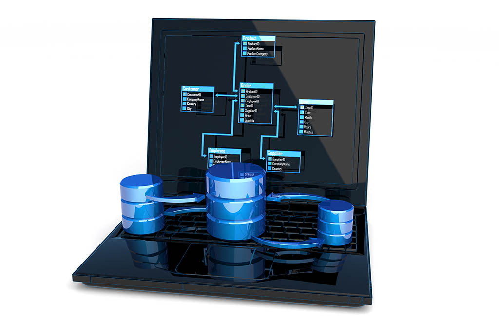 Understanding the Database Management System