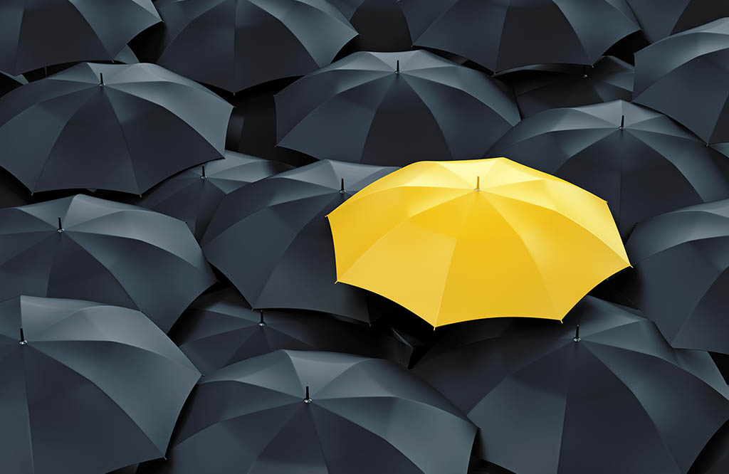 Build a Human Firewall to Protect Your Business