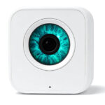 Is Your Front Door Your Biggest Risk? A Guide to Business Physical Security